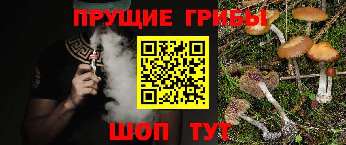 Псилоцибиновые грибы GOLDEN TEACHER Дербент